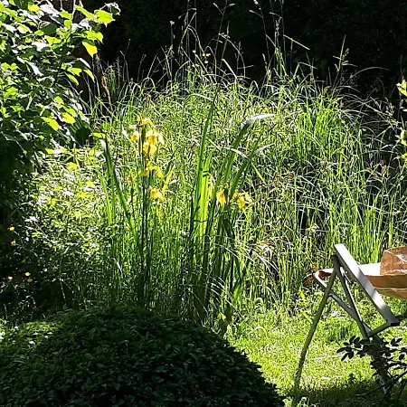 Am Obstgarten