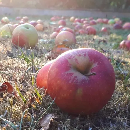 Am Obstgarten Bad Bocklet