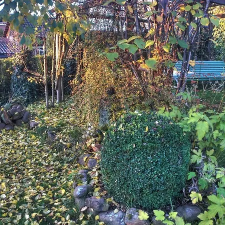Am Obstgarten *