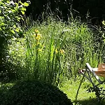Am Obstgarten