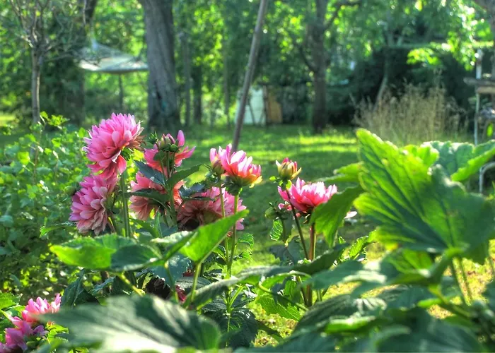 Lägenhet Am Obstgarten