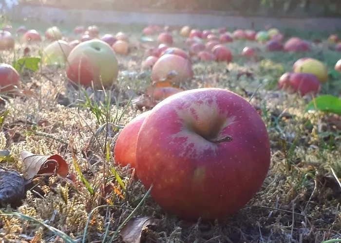 Am Obstgarten Bad Bocklet