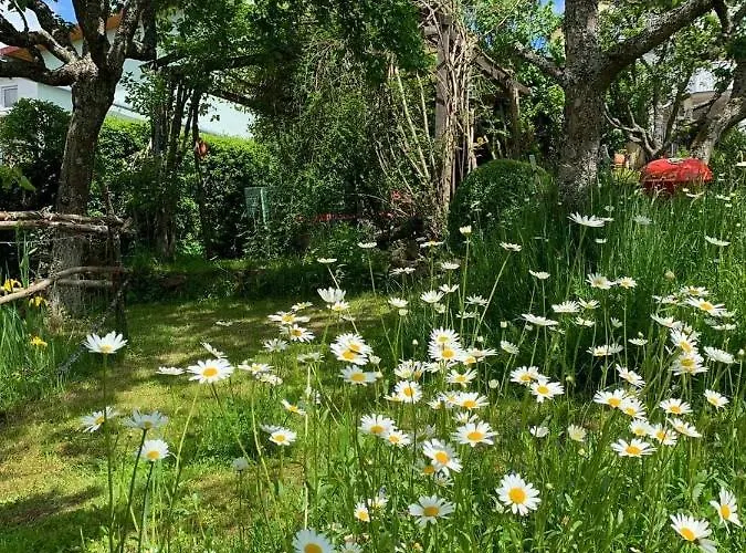 Lägenhet Am Obstgarten Bad Bocklet